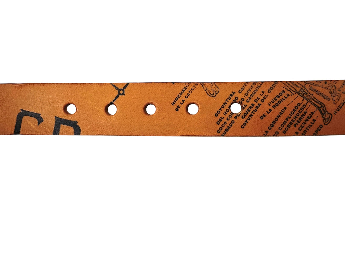 Cause and Effect Belt