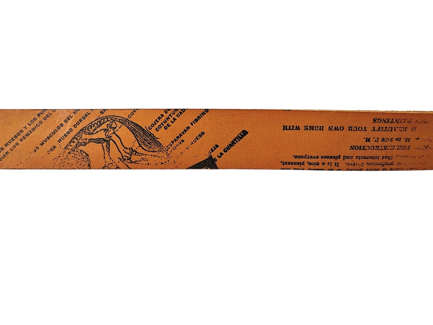 Cause and Effect Belt