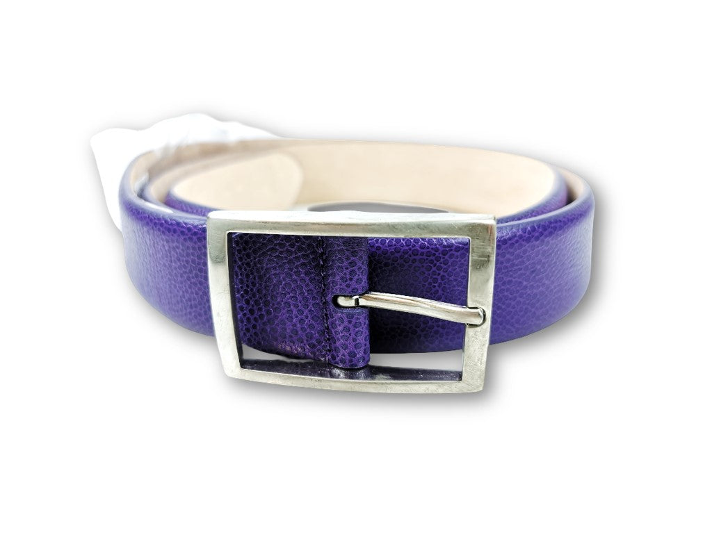 Simonnot Godard Belt