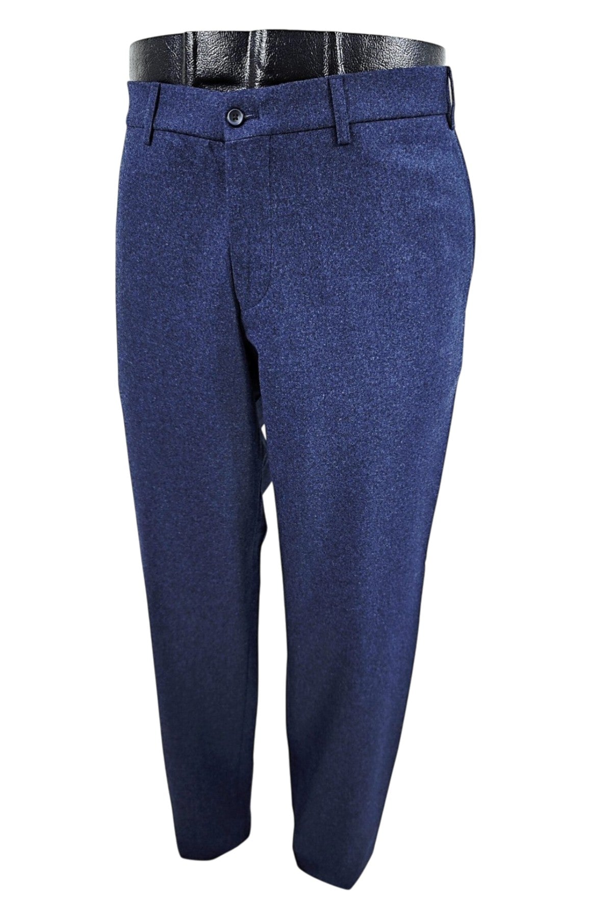 Hiltl Wool by Vitale Barberis Canonico Pants
